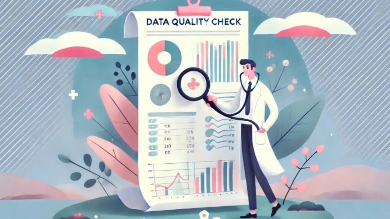 Data Quality Check